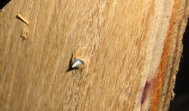 screw poking through the wooden base